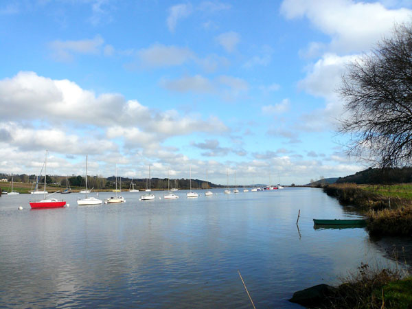 110110-vilaine600-riviere.jpg