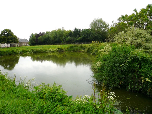 noyal riviere.JPG