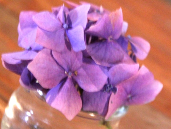 bouquet rainbow