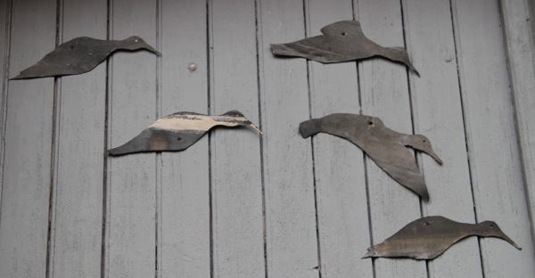 mouettes rainbow