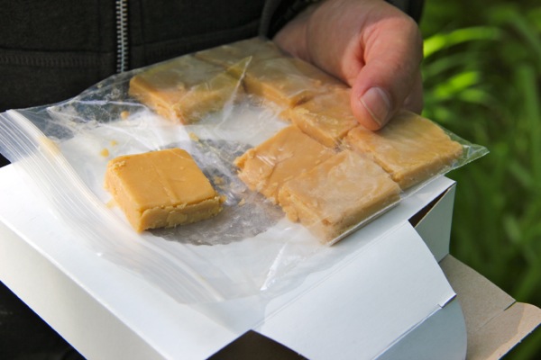 130609e.jpg