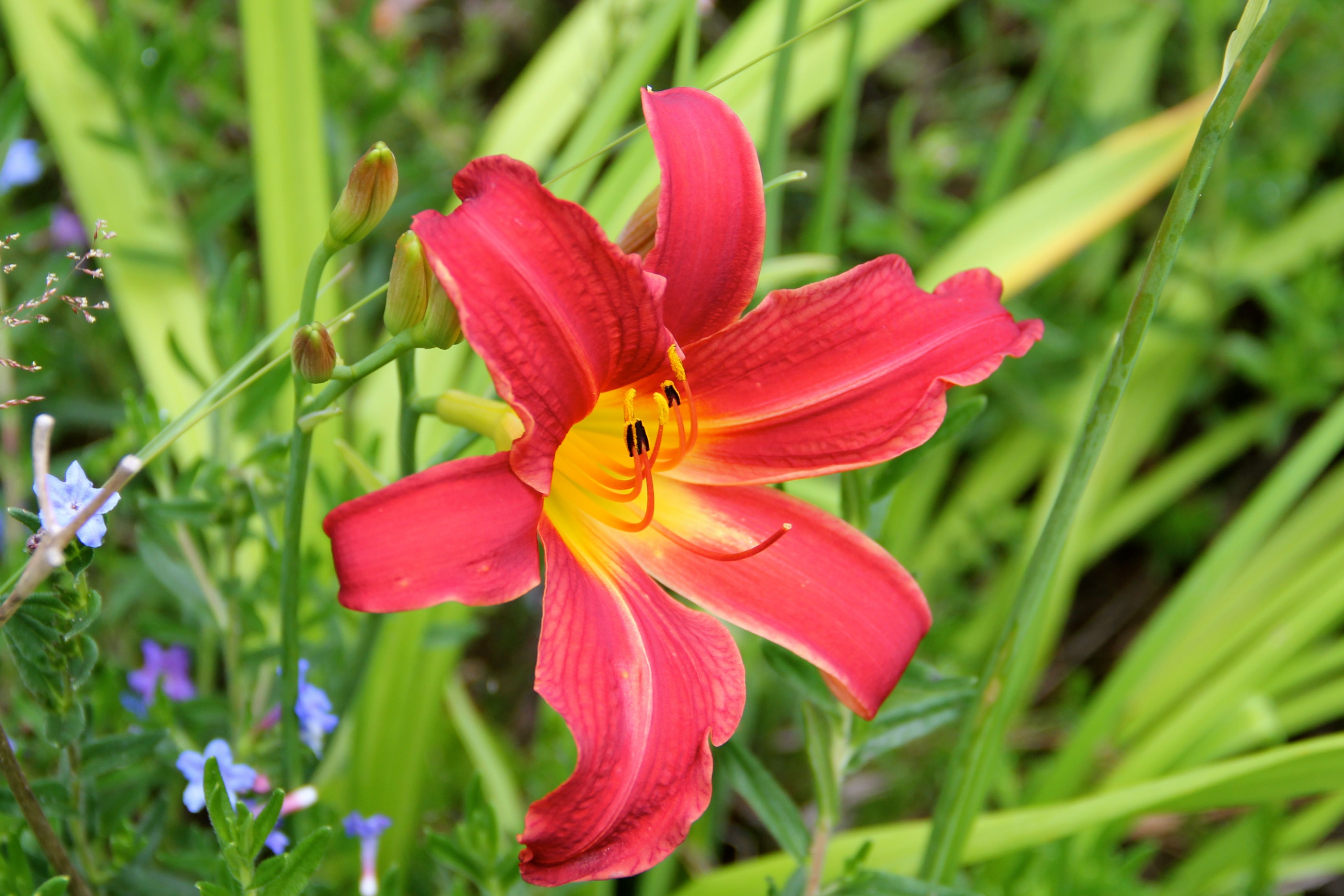 130704e.jpg